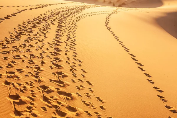 Panorama Del Paesaggio Desertico Marocco — Foto Stock