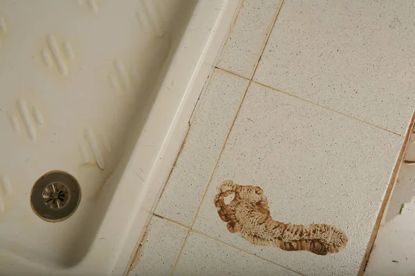 Sár Lábnyom Fürdőszobában — Stock Fotó