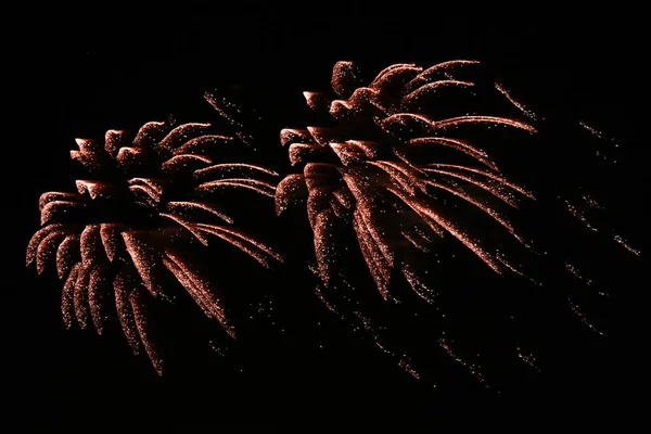 Fireworks Dark Sky — Stock Photo, Image