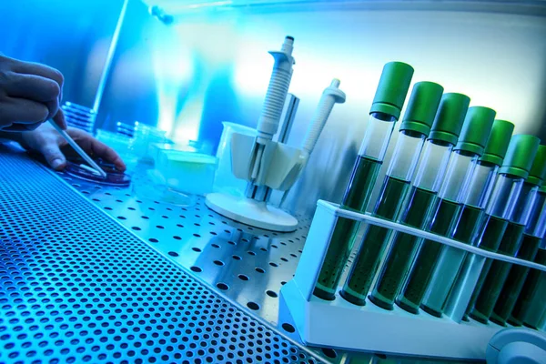 Test Tubes Research Laboratory — Stock Photo, Image