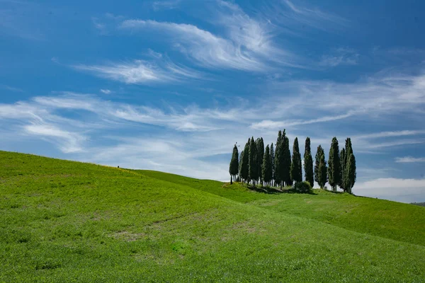 緑の木々と青空が広がるトスカーナの風景 — ストック写真