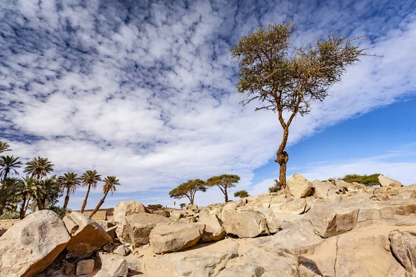 Desert Landscape Panorama Morocco — Stock Photo, Image