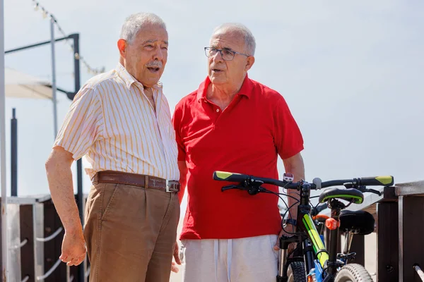 Senior Couple Bicycles Park — Stock Photo, Image