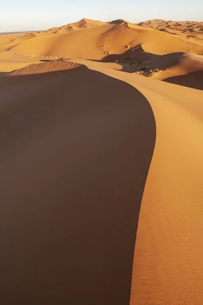 Песчаные Дюны Пустыни Сахара — стоковое фото
