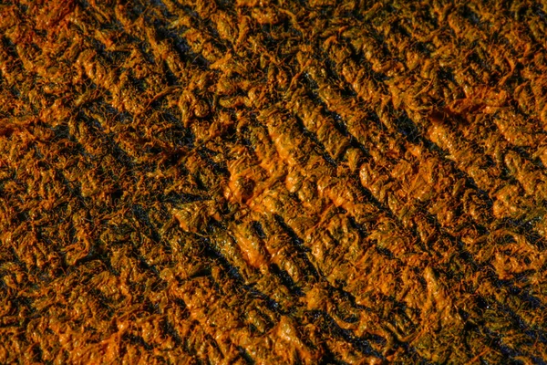 Pinselfarben Bilden Eine Abstrakte Textur — Stockfoto