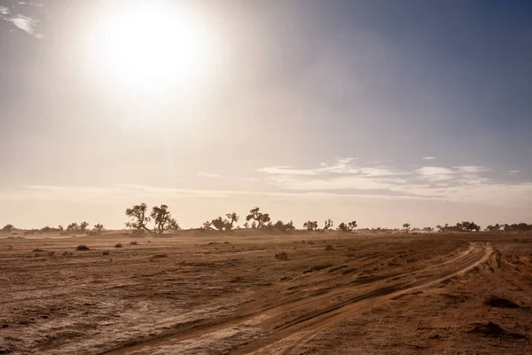 Beautiful Shot Road Desert — Stock Photo, Image