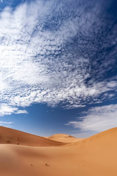 Homokdűnék Szahara Sivatagban — Stock Fotó