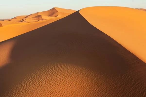 Sanddyner Saharaöknen — Stockfoto