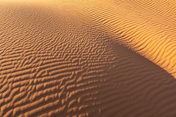 Homokdűnék Szahara Sivatagban — Stock Fotó