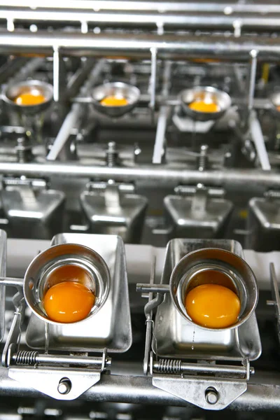 Preparation Eggs Metal Tray — Stock Photo, Image