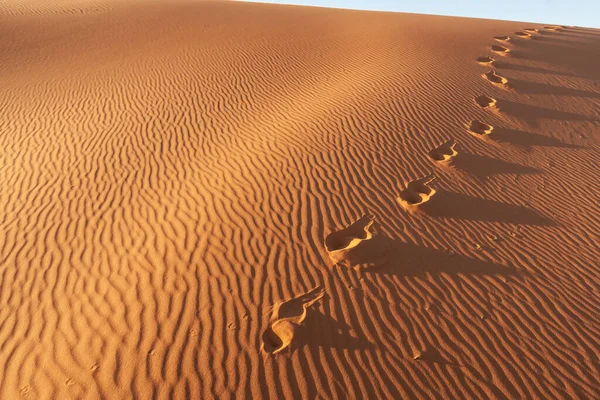 Sivatagi Táj Panoráma Marokkó — Stock Fotó