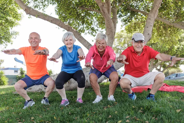 group of happy seniors dressed in sportswear doing exercise in city park
