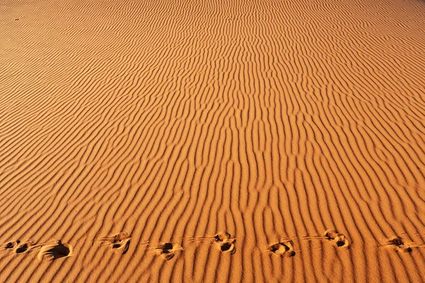 Paisagem Deserto Panorama Marrocos — Fotografia de Stock