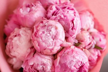 Güzel pembe şakayık çiçekleri