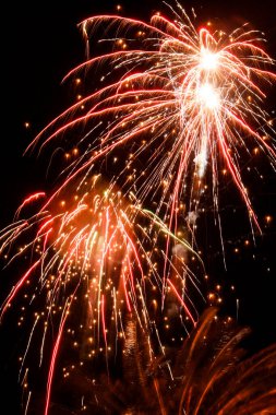 Siyah gökyüzünde parlak havai fişekler 