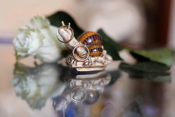 Anéis Casamento Ouro Acima Ornamento Caracol Flores Fundo Que Refletem — Fotografia de Stock