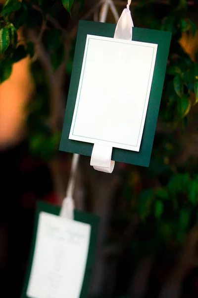 Pennarello Bianco Verde Appeso Albero — Foto Stock