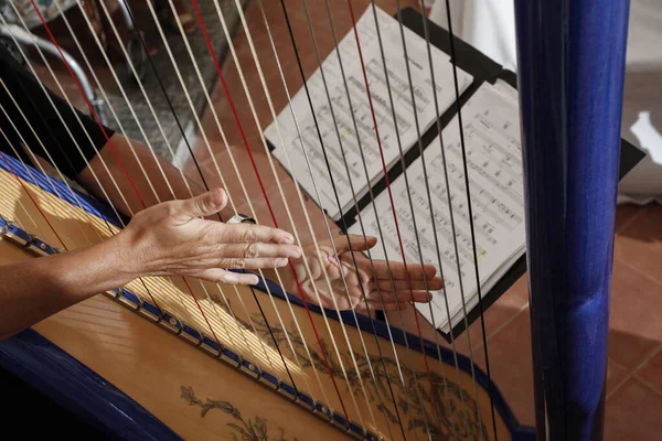 Detail Hands Playing Harp — Stock Photo, Image