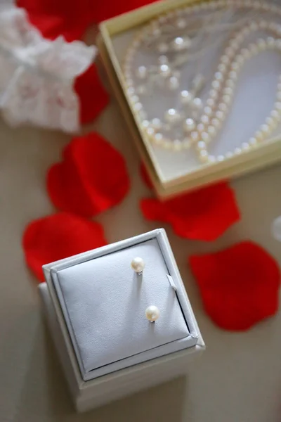 Jewelry Accessories Wedding Jewelry Wedding Earrings Necklace Necklace Earrings Jewelry — Stock Photo, Image