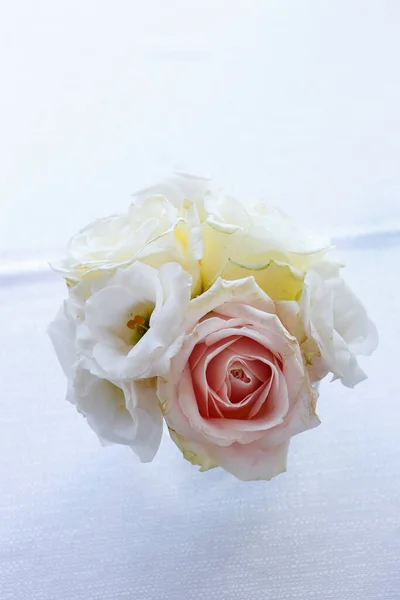 rose flower in white and gold on pink background