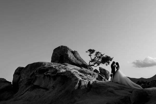 岩の上の花嫁と新郎黒と白 — ストック写真