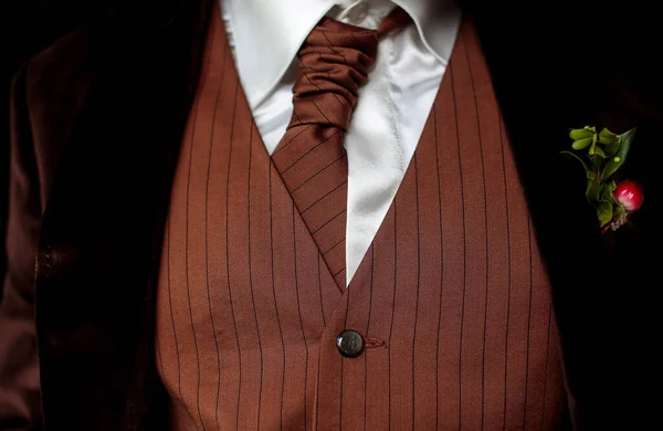Man Brown Jacket Bow Tie His Shoulder — Stock Photo, Image