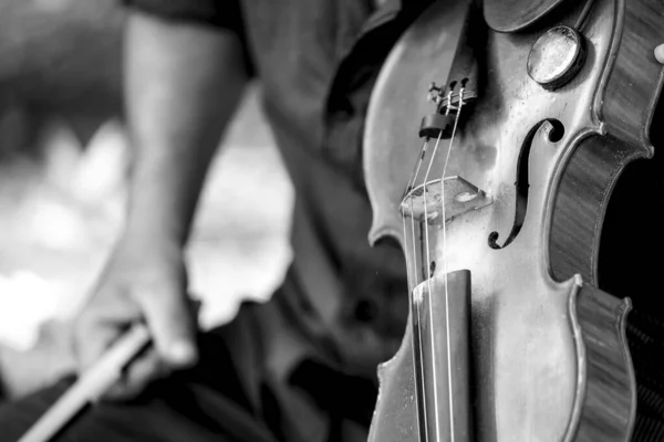 白黒のバイオリンと音楽家のイメージです — ストック写真
