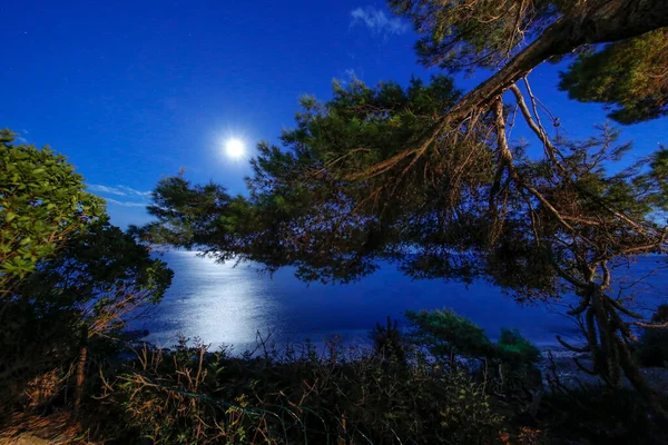 Night Sky Moon Sea — Stock Photo, Image