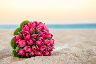 pembe deniz çiçeği ve kum 