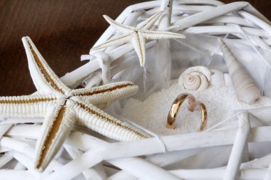 Deniz kabukları, deniz yıldızları ve alyanslar beyaz bir sepette.