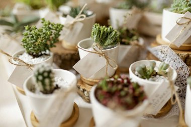 Kutudaki güzel çiçekler 