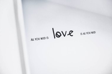 Tek ihtiyacın olan şey aşk. 