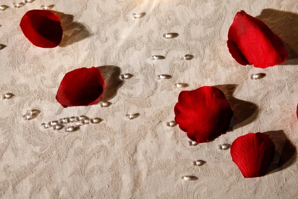 Rote Rosenblätter Auf Weißem Hintergrund — Stockfoto