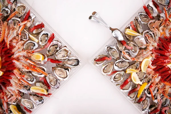 新鮮な魚介類や白を背景にした魚介類 — ストック写真