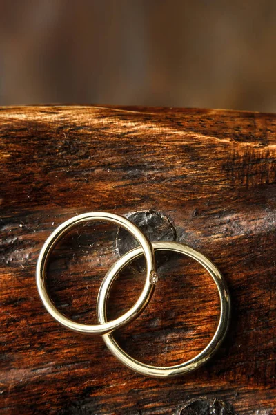 木制底座上的两个金戒指 — 图库照片