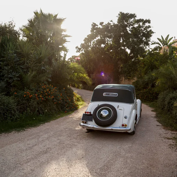熱帯の庭を走るクラシックカーは — ストック写真