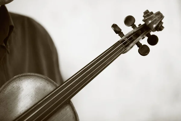 バイオリンと音楽家の弓 — ストック写真