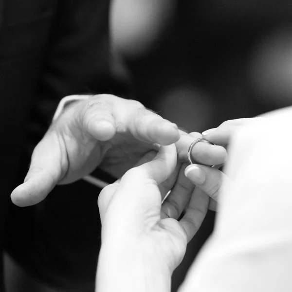 Wedding Ceremony Groom Bride — Stock Photo, Image