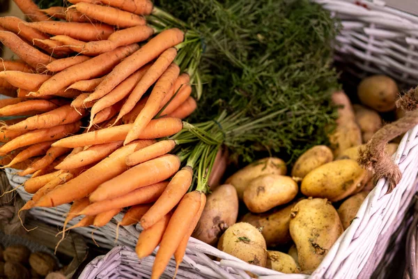 Färska Ekologiska Grönsaker Marknaden — Stockfoto