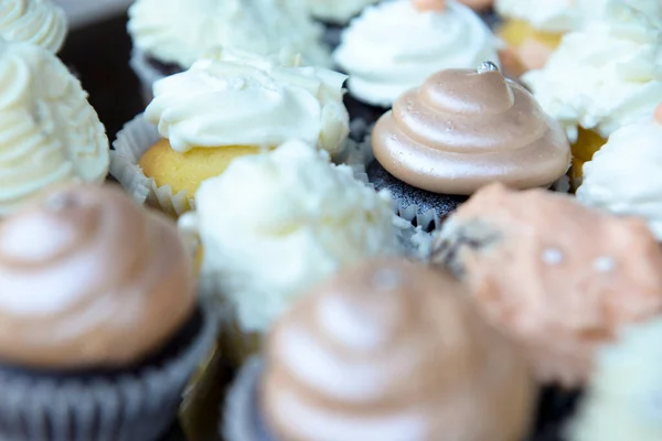 stock image a closeup shot of different chocolate cupcakes on the surface of a white plate 