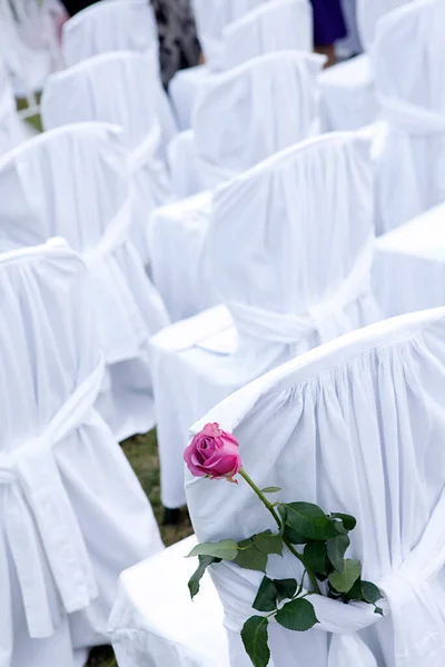 Vit Och Rosa Rosor Stol Ett Bröllop Parken — Stockfoto