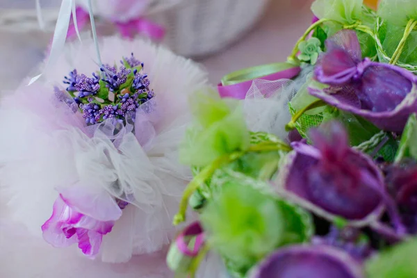 Close Beautiful Flowers — Stock Photo, Image