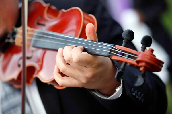 音楽コンサートや音楽におけるバイオリン — ストック写真