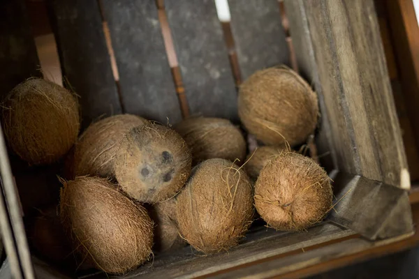 Close Kokosových Ořechů — Stock fotografie