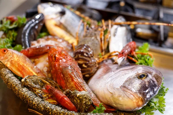 Fisk Och Skaldjur Visas Restaurangen — Stockfoto