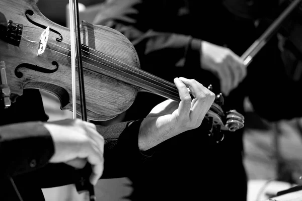 Bir Gösteri Sırasında Orkestra Keman Çalar — Stok fotoğraf