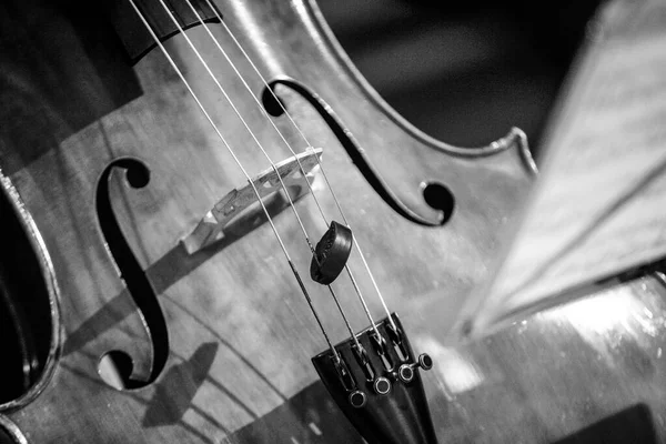 バイオリンと弓を閉じる コピーで黒と白の背景にアップ スペース — ストック写真