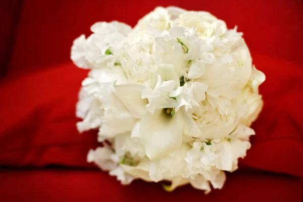 Hermoso Ramo Flores Blancas —  Fotos de Stock