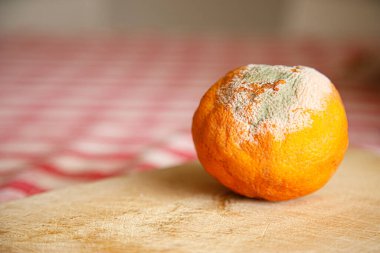 Ahşap masada küflü turuncu.