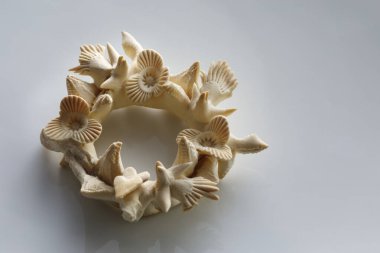 Beyaz arka planda izole edilmiş tipik Sardunya ekmeği